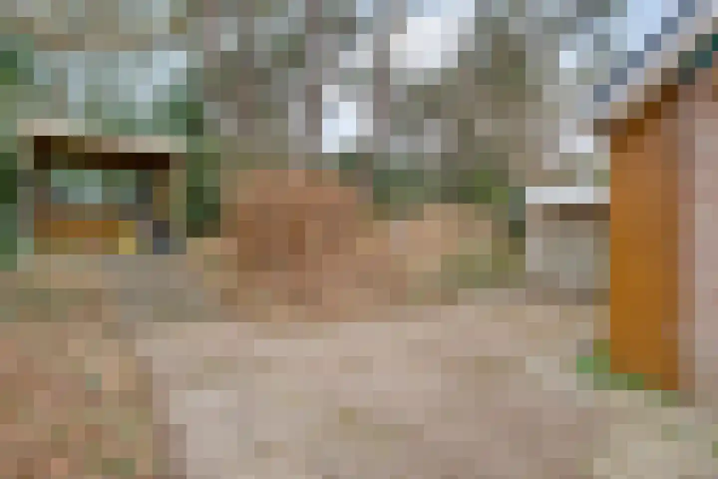 Op 't Holt 6 Dalfsen thumbnail 32