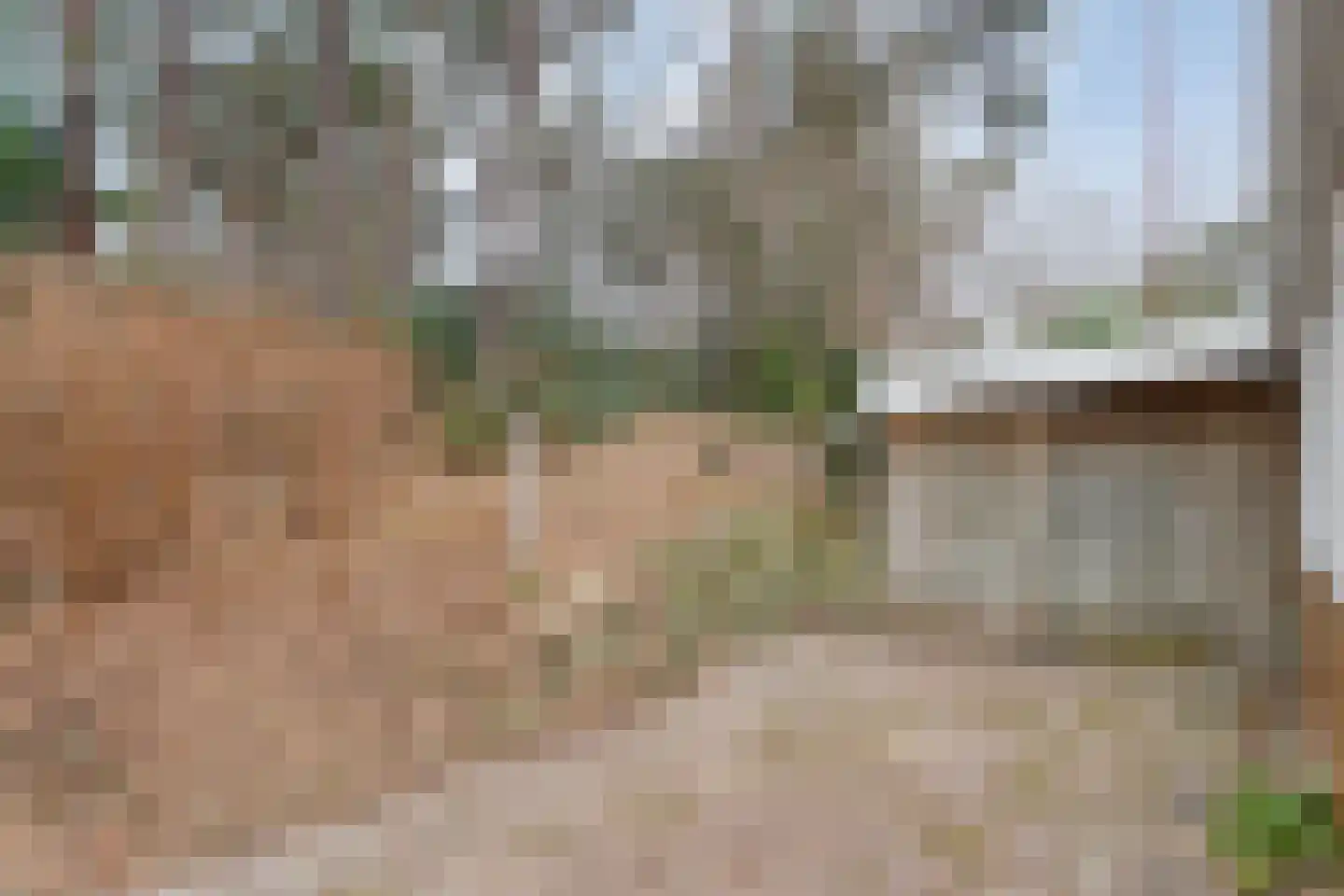 Op 't Holt 6 Dalfsen thumbnail 34