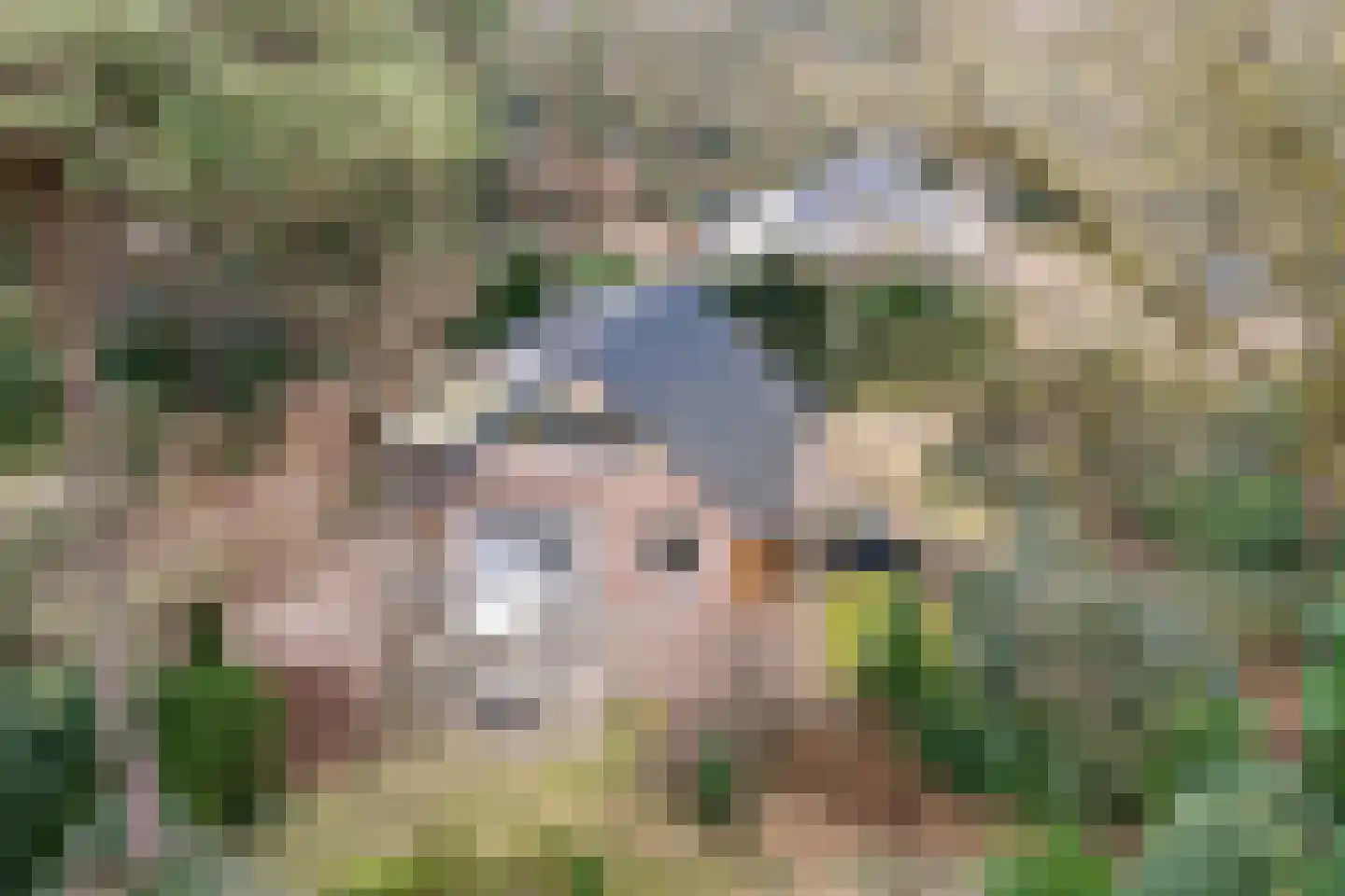 Op 't Holt 6 Dalfsen thumbnail 37