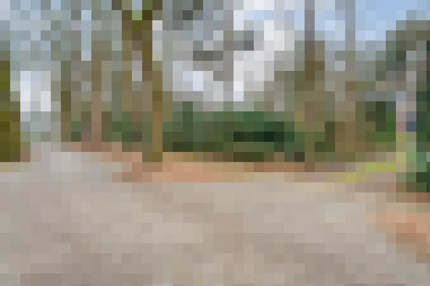Op 't Holt 6 Dalfsen thumbnail 39