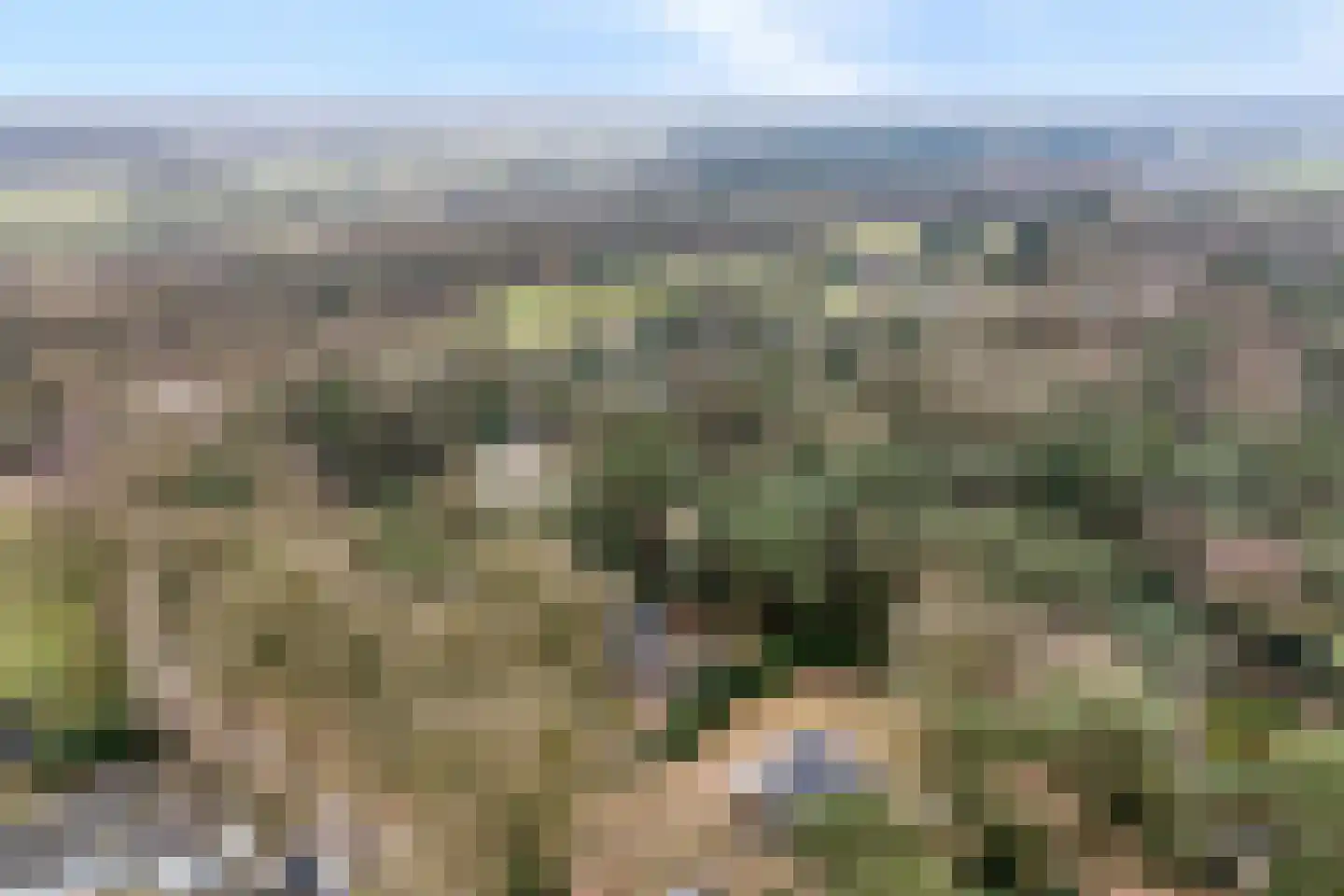 Op 't Holt 6 Dalfsen thumbnail 41