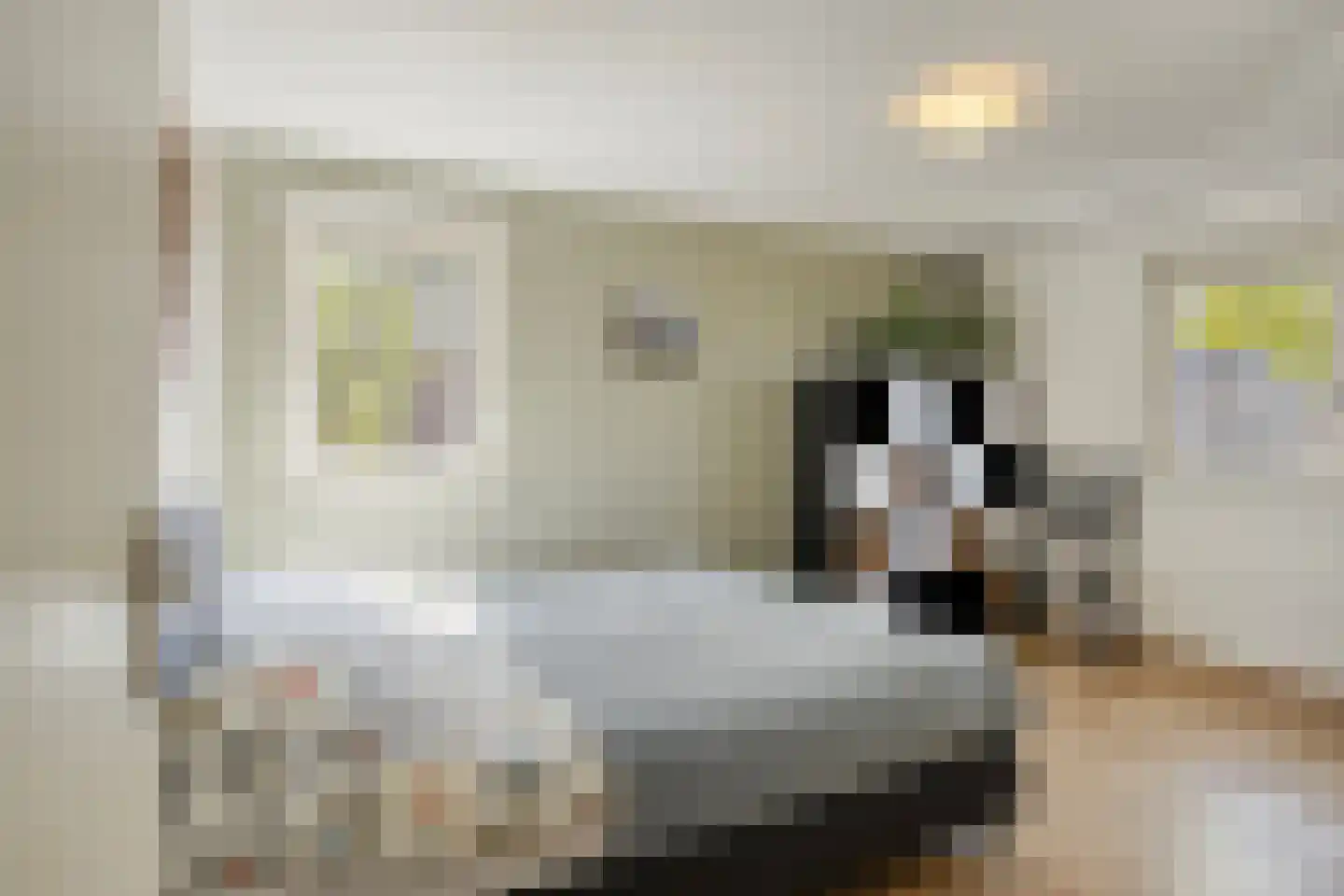 Op 't Hövelke 6 Mheer thumbnail 18