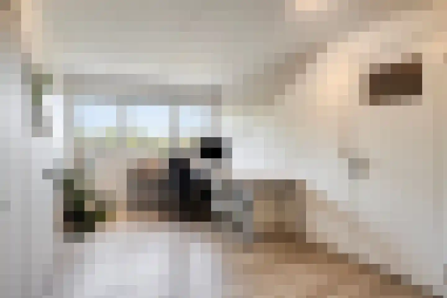Op 't Hövelke 6 Mheer thumbnail 29