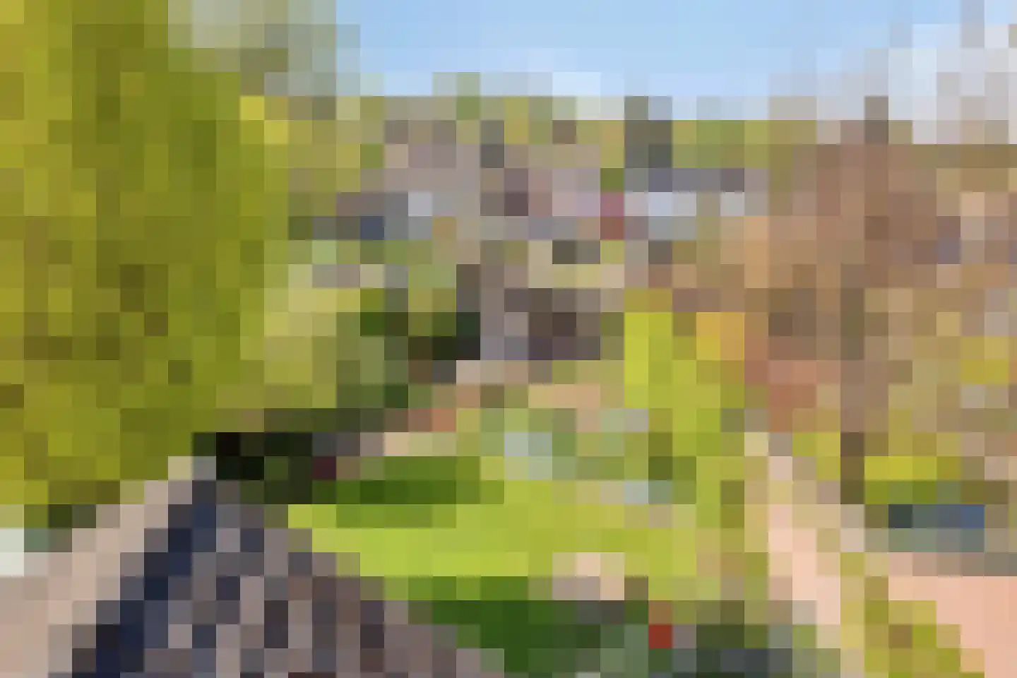Op 't Hövelke 6 Mheer thumbnail 30