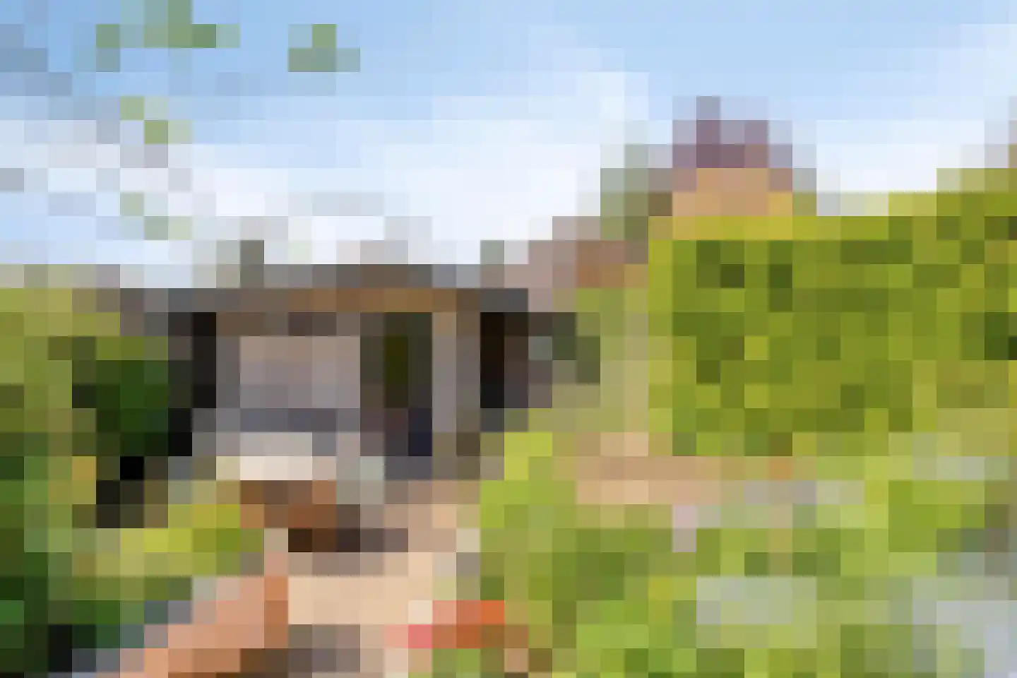 Op 't Hövelke 6 Mheer thumbnail 36