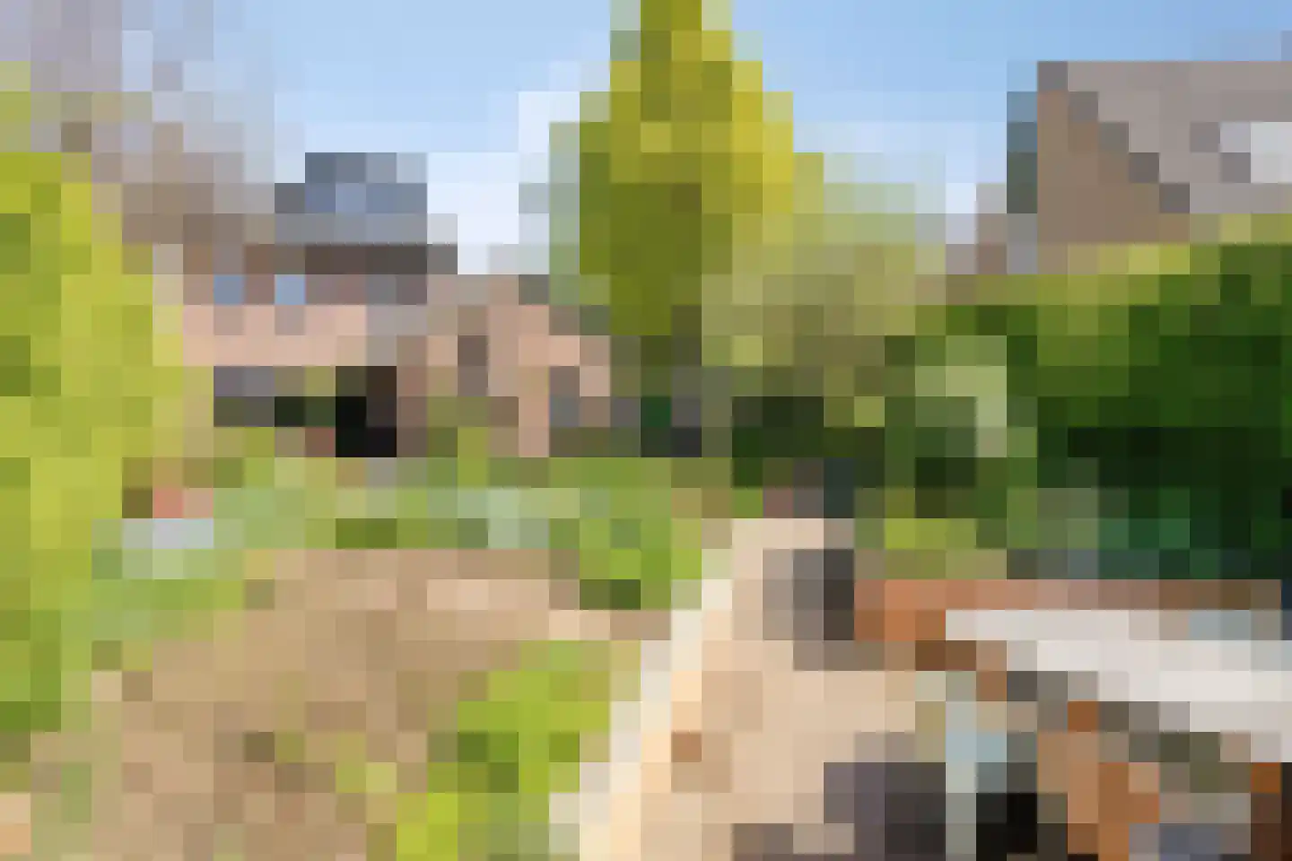 Op 't Hövelke 6 Mheer thumbnail 37