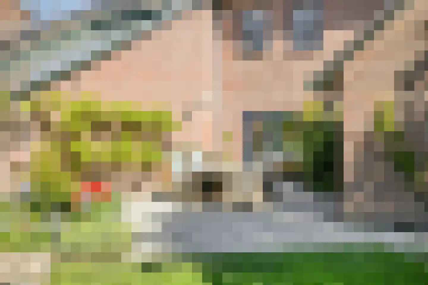 Op 't Hövelke 6 Mheer thumbnail 38