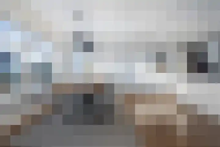 Op 't Landtweg 18 Callantsoog thumbnail 17