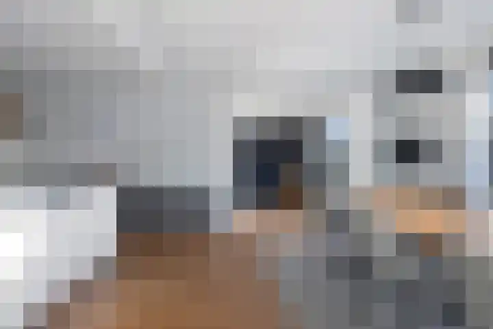 Op 't Landtweg 18 Callantsoog thumbnail 18