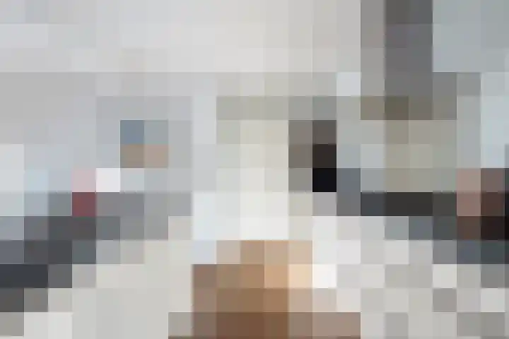 Op 't Landtweg 18 Callantsoog thumbnail 25