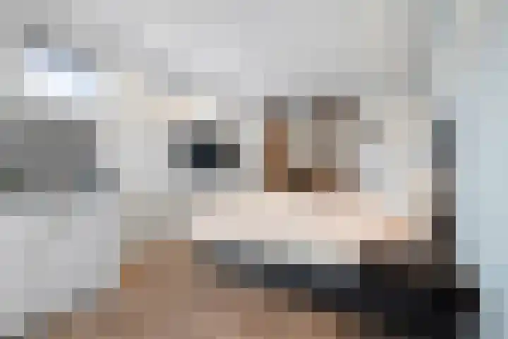 Op 't Landtweg 18 Callantsoog thumbnail 27