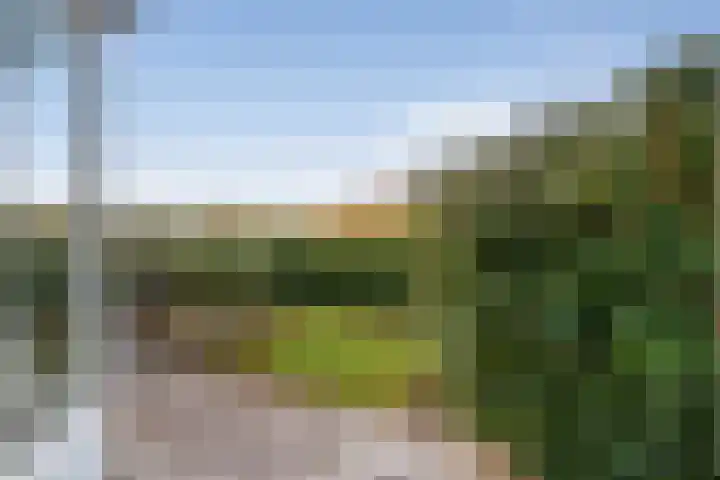 Op 't Landtweg 18 Callantsoog thumbnail 36