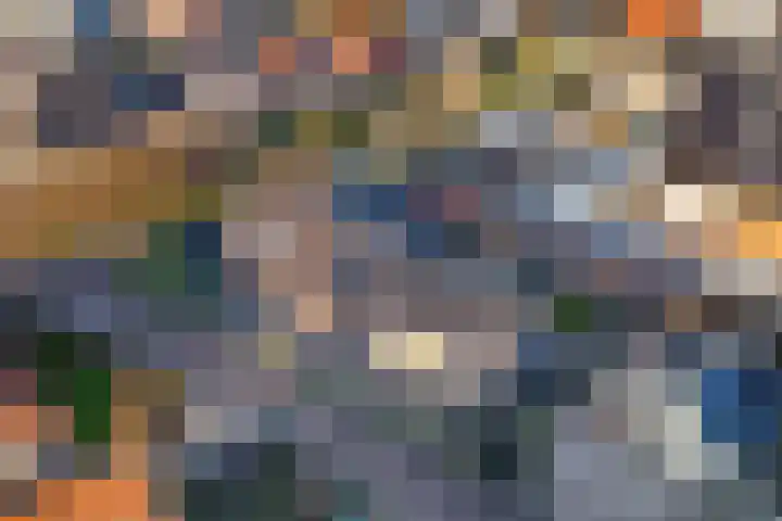 Op 't Landtweg 18 Callantsoog thumbnail 4