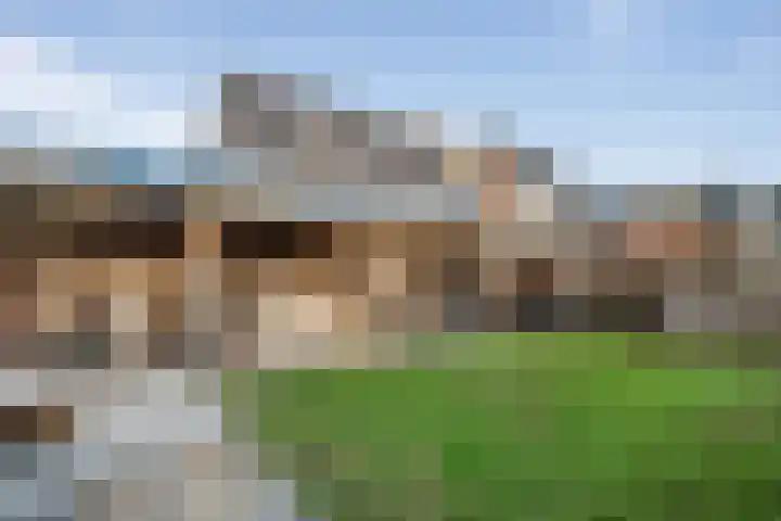 Op 't Landtweg 18 Callantsoog thumbnail 51
