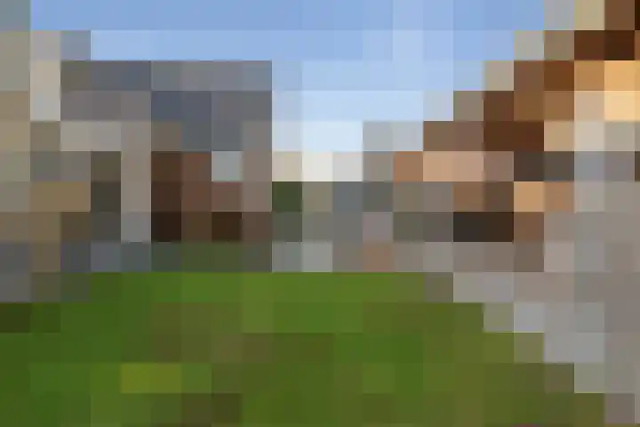 Op 't Landtweg 18 Callantsoog thumbnail 53
