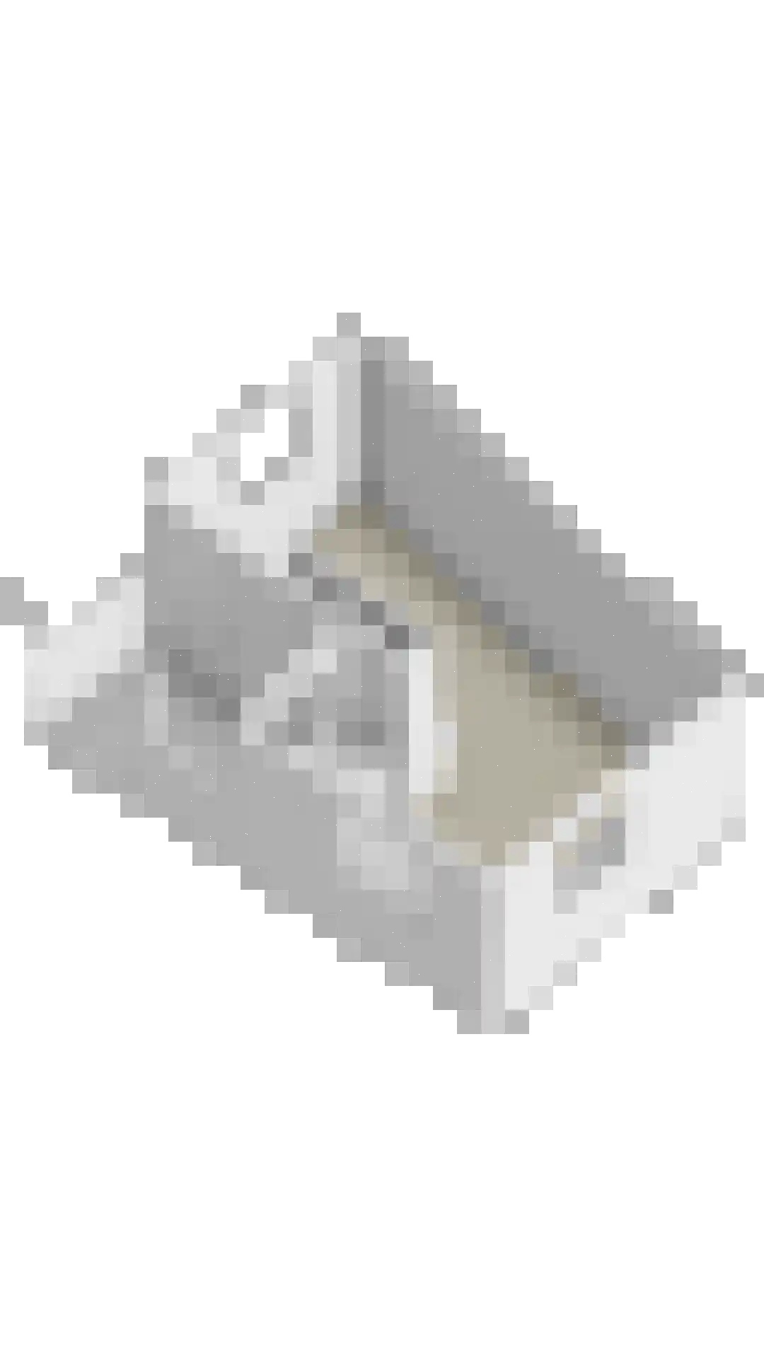 Op 't Veldje 4 Spaubeek thumbnail 55