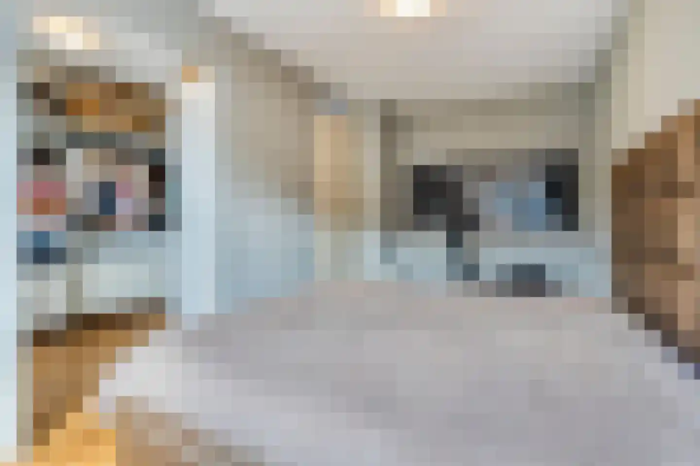 Opaal 10 Venlo thumbnail 13