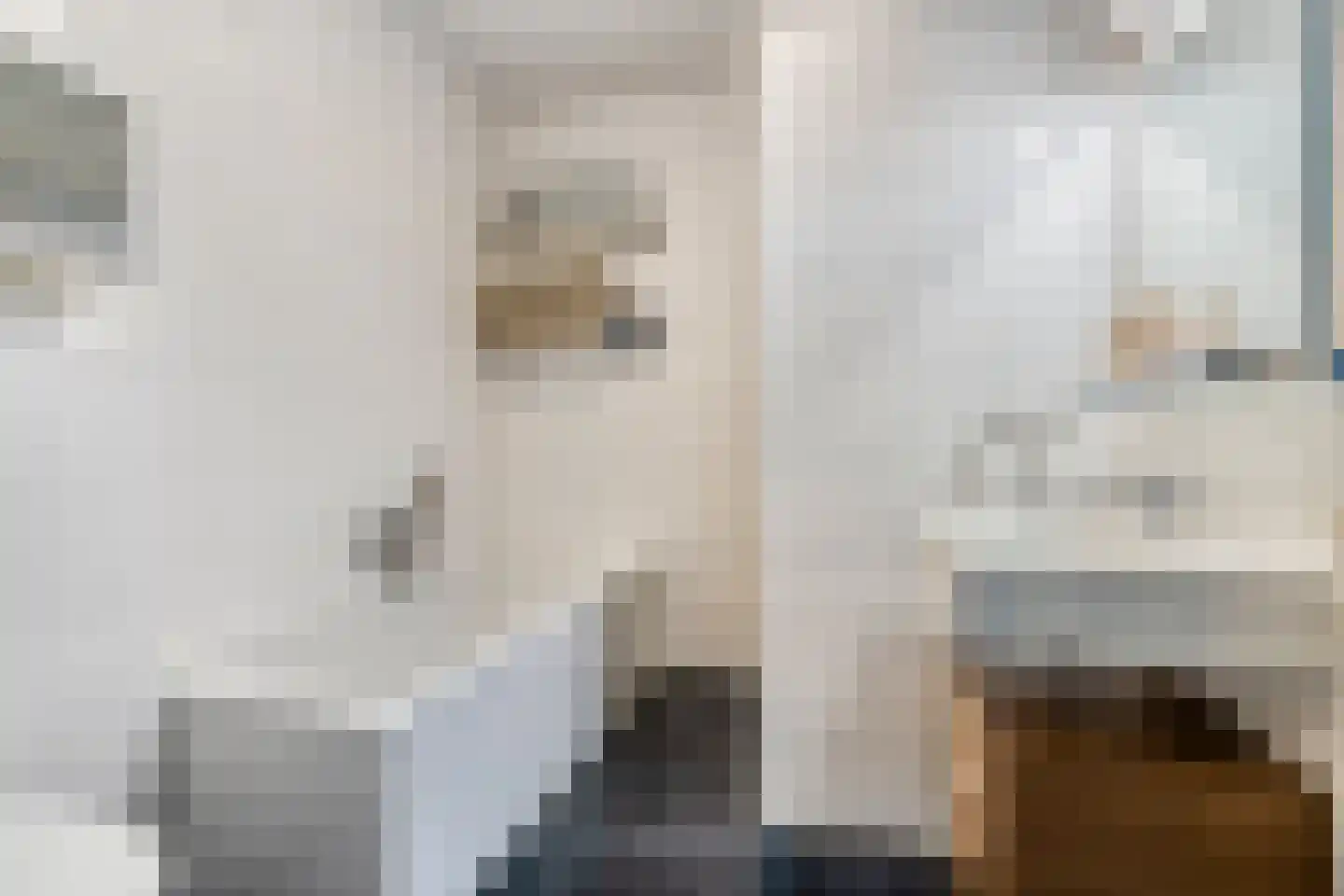 Opaal 10 Venlo thumbnail 15