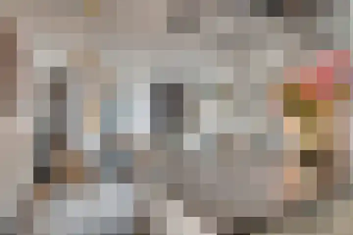Opaal 14 Venlo thumbnail 15