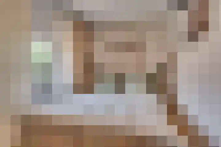 Opaal 14 Venlo thumbnail 19