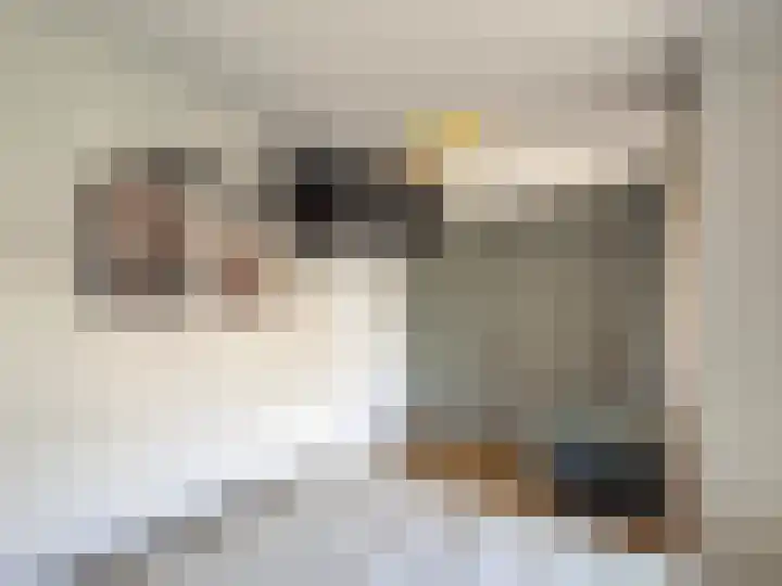 Opaal 14 Venlo thumbnail 22