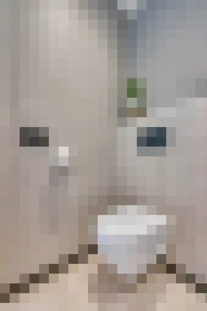 Opaal 14 Venlo thumbnail 28