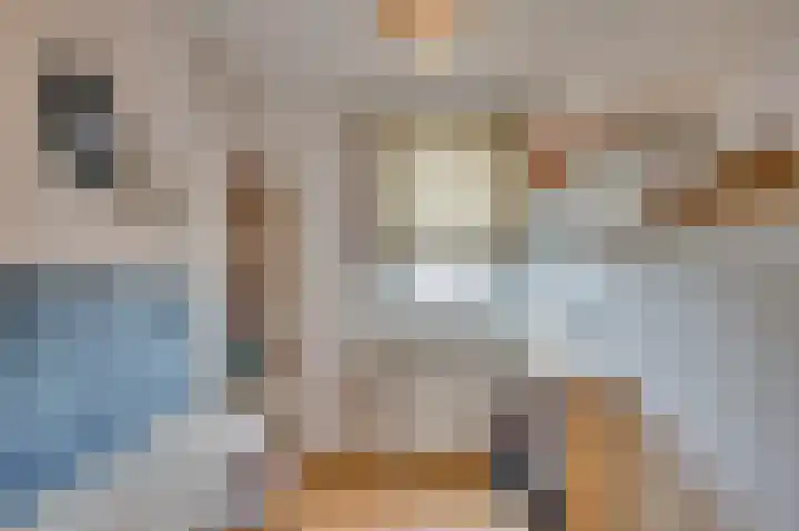 Opaal 14 Venlo thumbnail 29