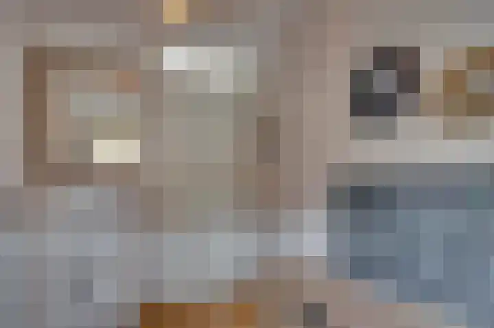 Opaal 14 Venlo thumbnail 30