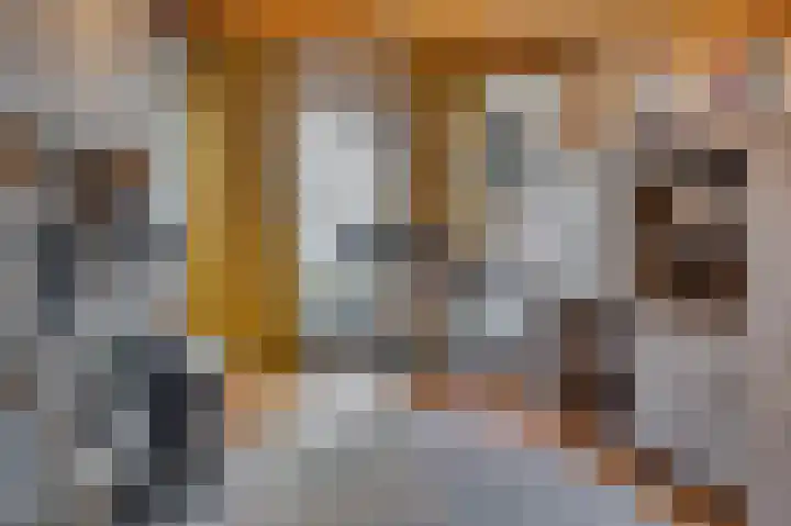 Opaal 14 Venlo thumbnail 36