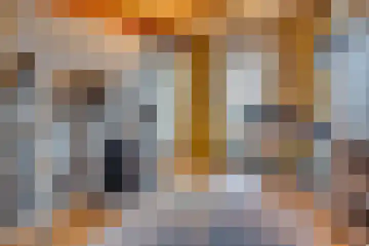 Opaal 14 Venlo thumbnail 37
