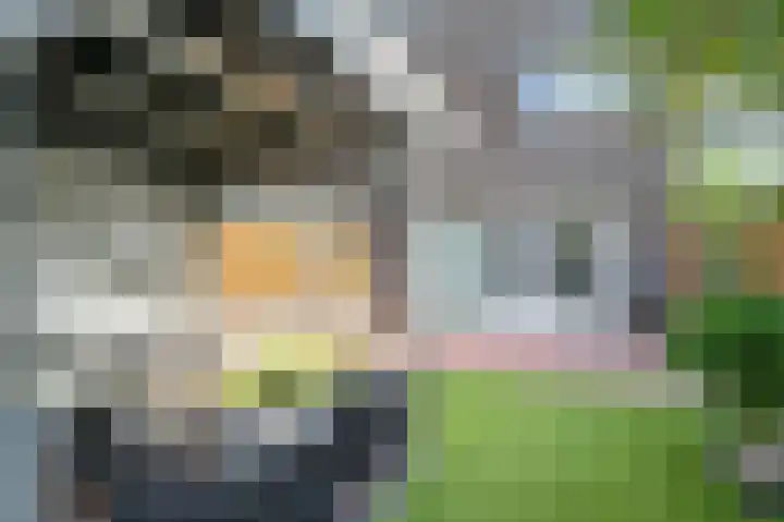 Opaal 14 Venlo thumbnail 39