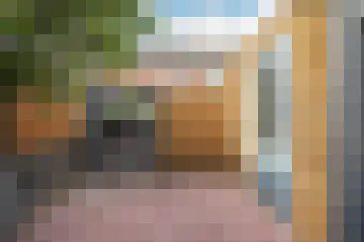 Opaal 14 Venlo thumbnail 45