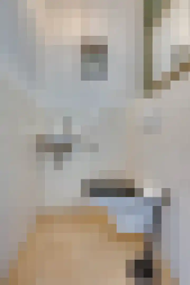 Opaal 14 Venlo thumbnail 5