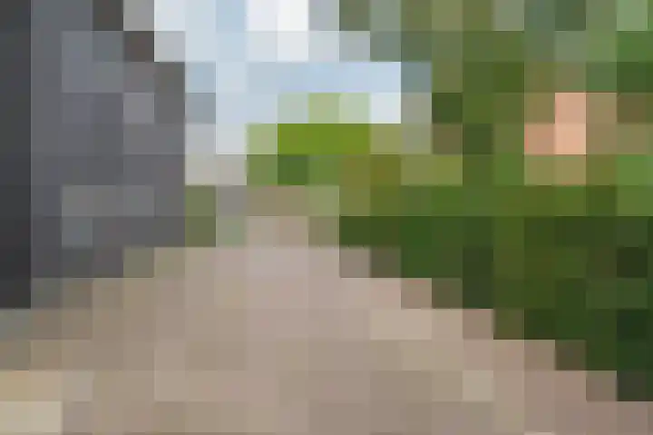 Opaal 14 Venlo thumbnail 50