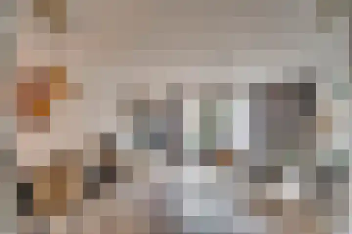 Opaal 14 Venlo thumbnail 6