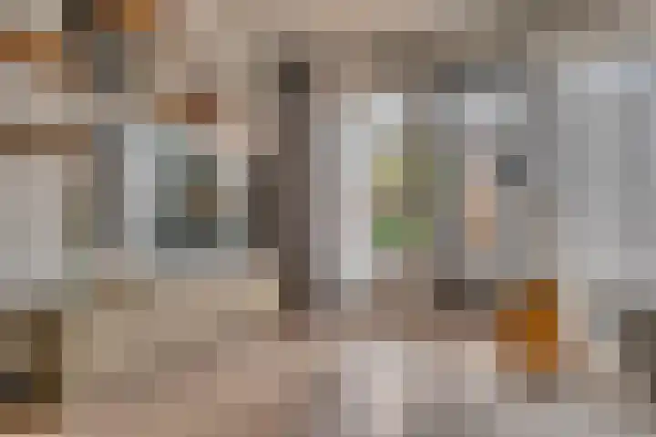 Opaal 14 Venlo thumbnail 8