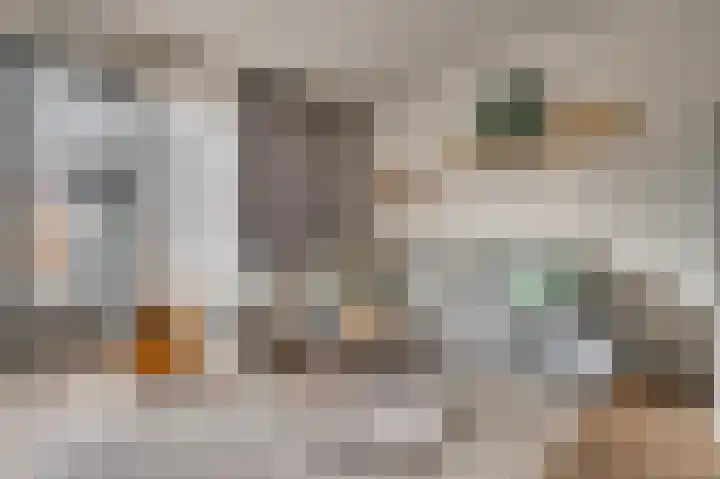Opaal 14 Venlo thumbnail 9