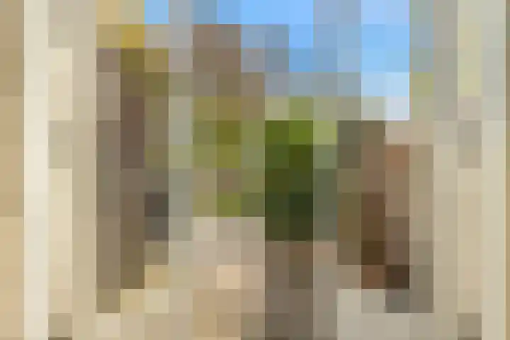 Opaal 22 Heerhugowaard thumbnail 15