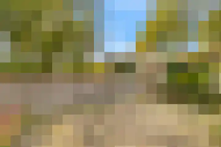 Opaal 22 Heerhugowaard thumbnail 19
