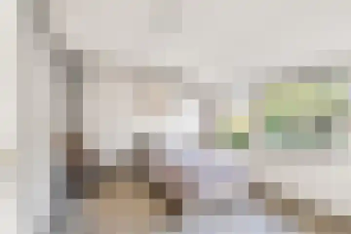 Opaal 22 Heerhugowaard thumbnail 27