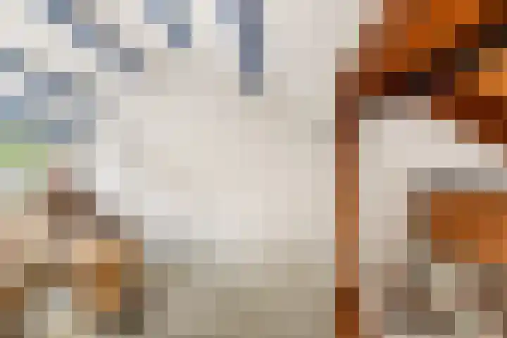 Opaal 22 Heerhugowaard thumbnail 33