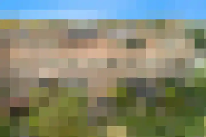 Opaal 22 Heerhugowaard thumbnail 36