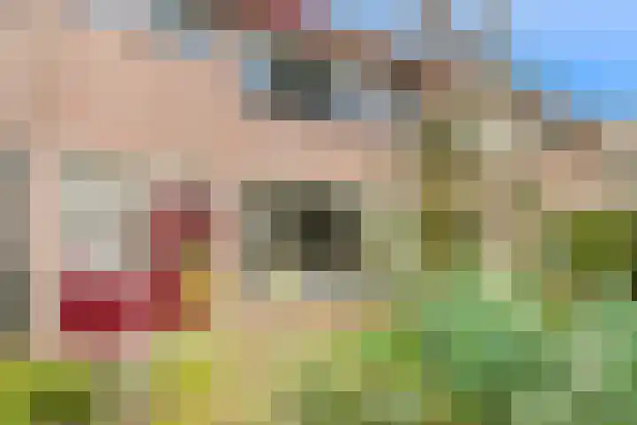 Opaal 22 Heerhugowaard thumbnail 4