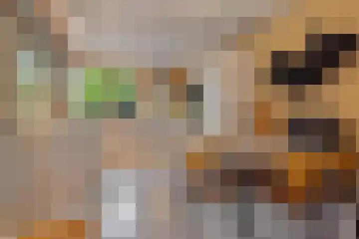 Opaal 27 Eindhoven thumbnail 22