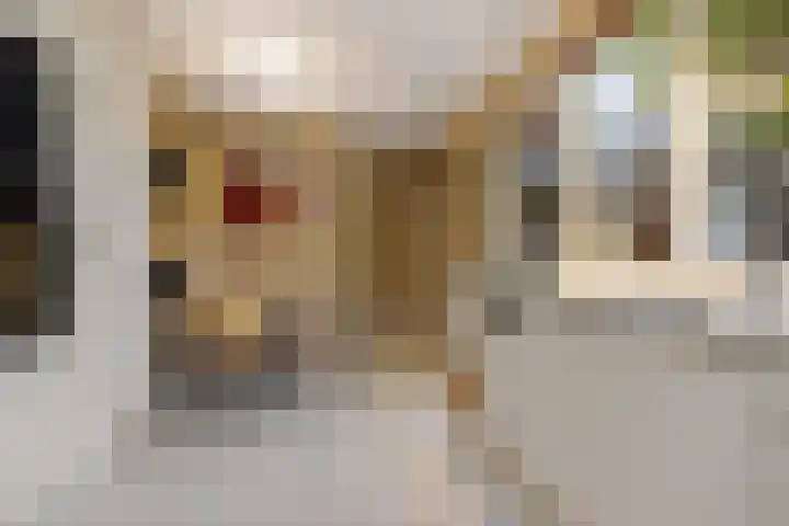 Opaal 27 Eindhoven thumbnail 26