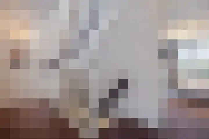 Opaal 27 Eindhoven thumbnail 29