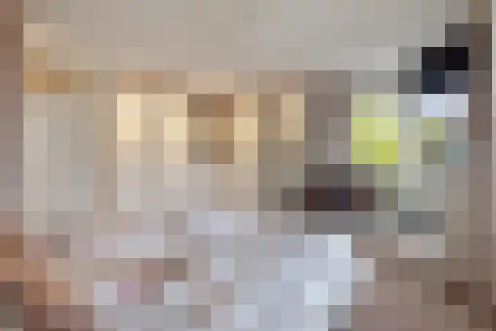 Opaal 27 Eindhoven thumbnail 31