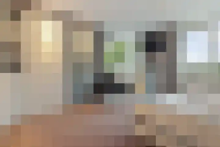 Opaal 27 Eindhoven thumbnail 32