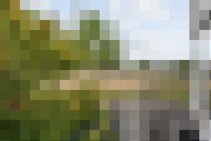 Opaal 27 Eindhoven thumbnail 33