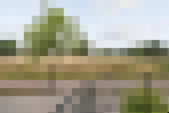 Opaal 27 Eindhoven thumbnail 34